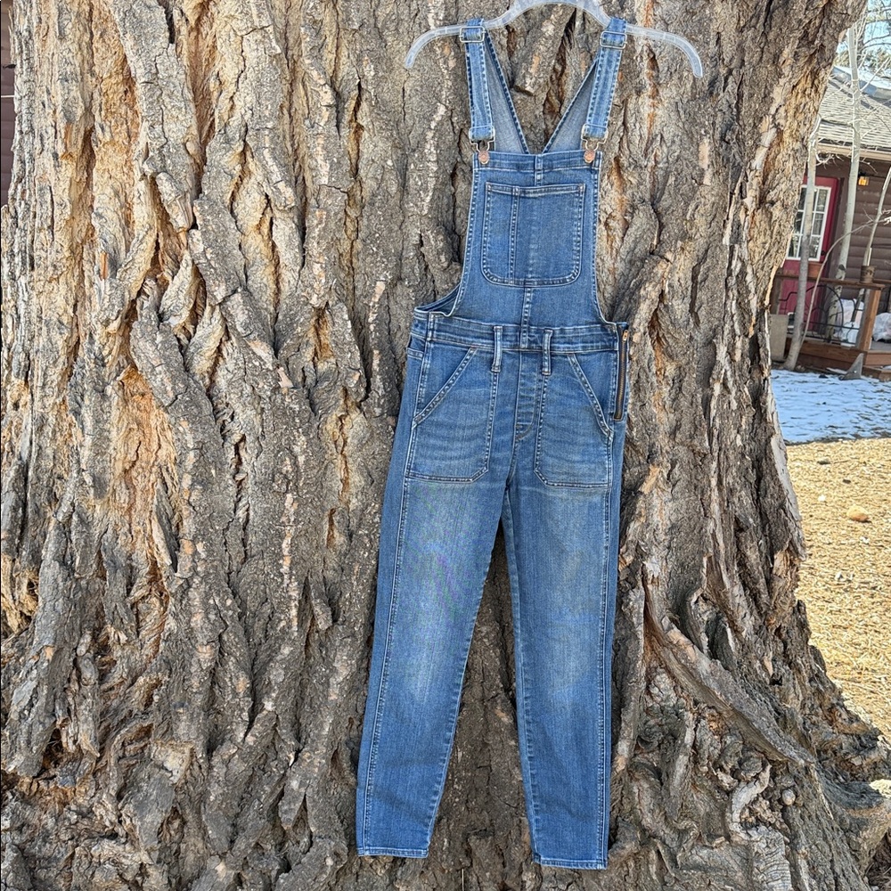 Madewell skinny overalls